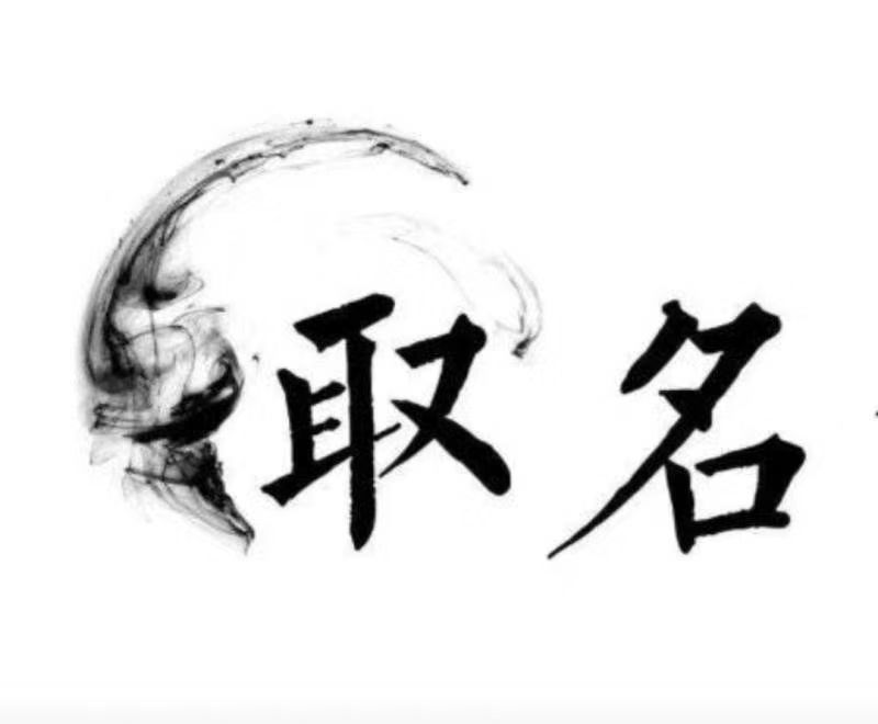  六安宝宝取名 大师一对一人工起名