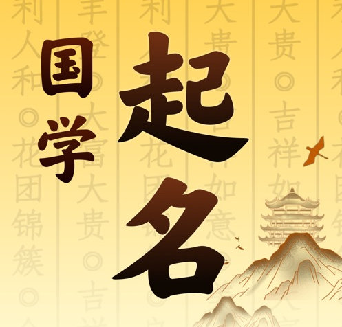 六安国学起名 人工起名一对一